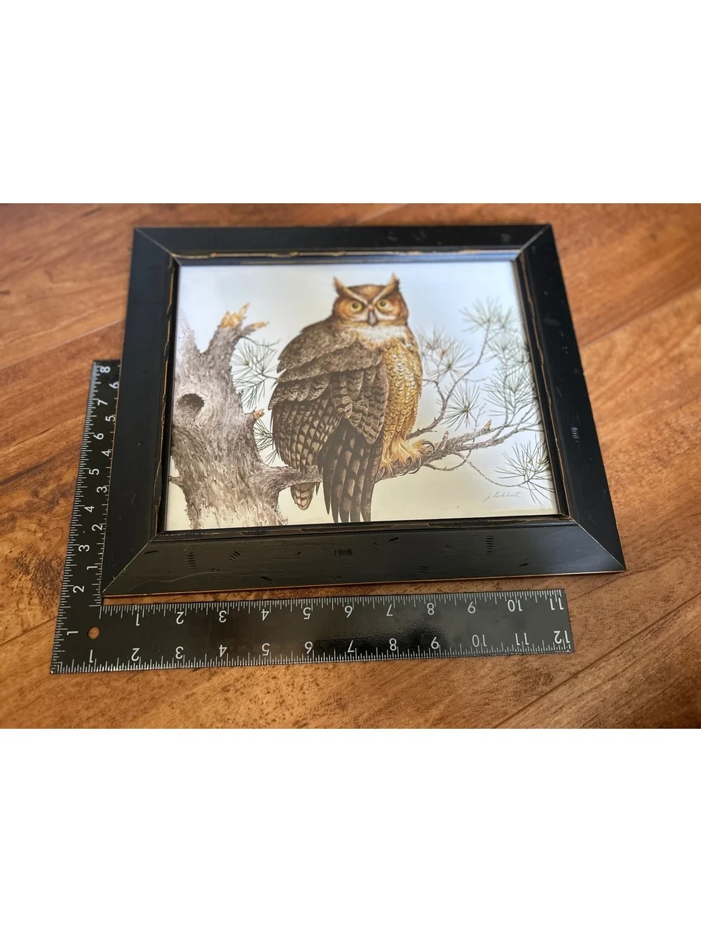 Vintage Owl Artwork Pair in Black Wooden Frames
